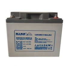 理士电池(LEOCH) DJM-中密系列 12V 20HR 38Ah/50Ah蓄电池 UPS不间断电源铅酸蓄电池