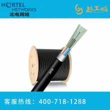 北电网络Nortel Networks室外单模12芯铠装光缆